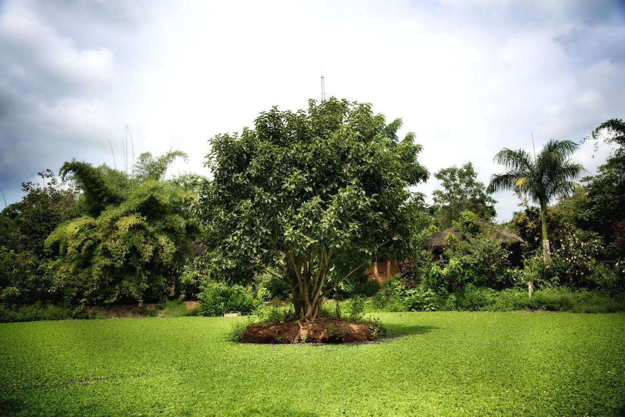Red Earth Kabini Begur Exterior photo